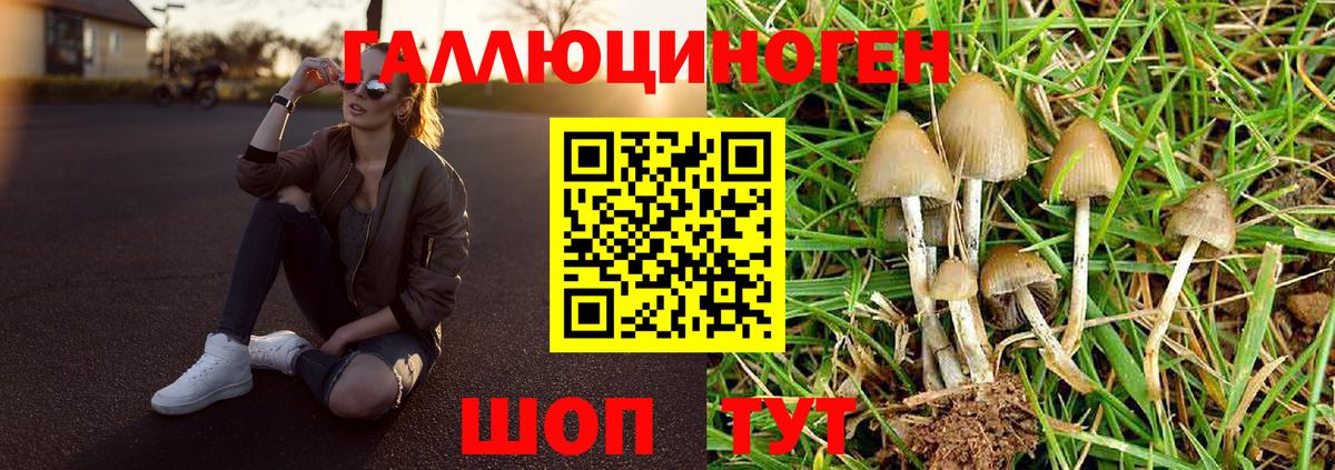 Галлюциногенные грибы GOLDEN TEACHER  Вход с VPN  Саянск 